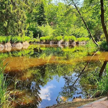 Midden In De Friese Bossen Op Landgoed Princenhof Oranjewoud Ngoại thất bức ảnh