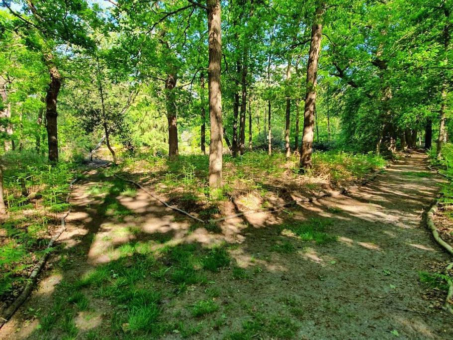 Midden In De Friese Bossen Op Landgoed Princenhof Oranjewoud Ngoại thất bức ảnh