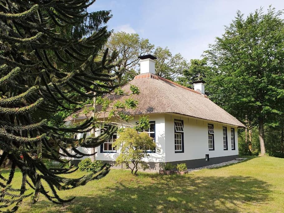 Midden In De Friese Bossen Op Landgoed Princenhof Oranjewoud Ngoại thất bức ảnh