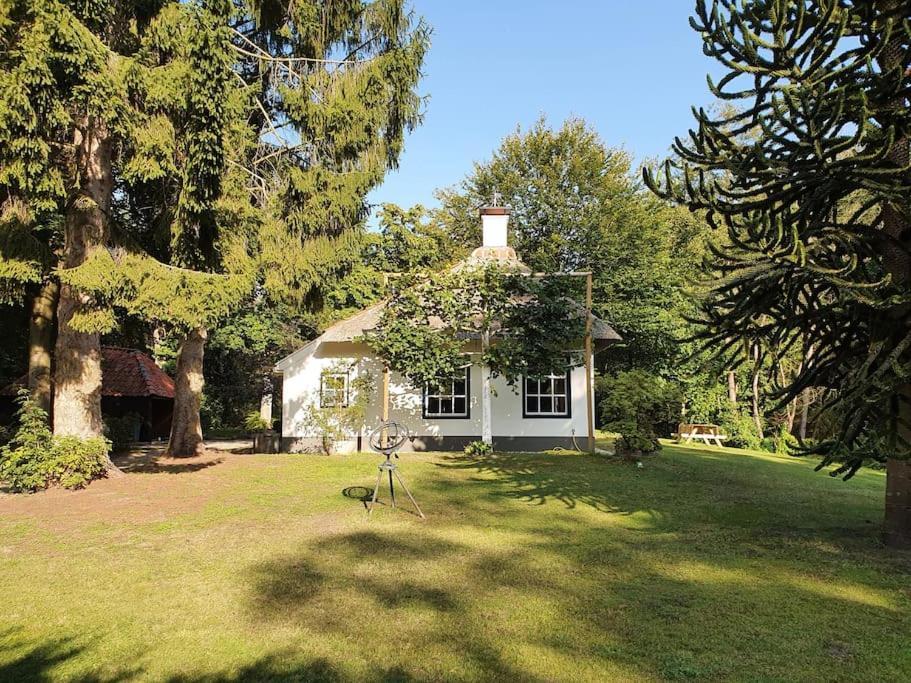 Midden In De Friese Bossen Op Landgoed Princenhof Oranjewoud Ngoại thất bức ảnh