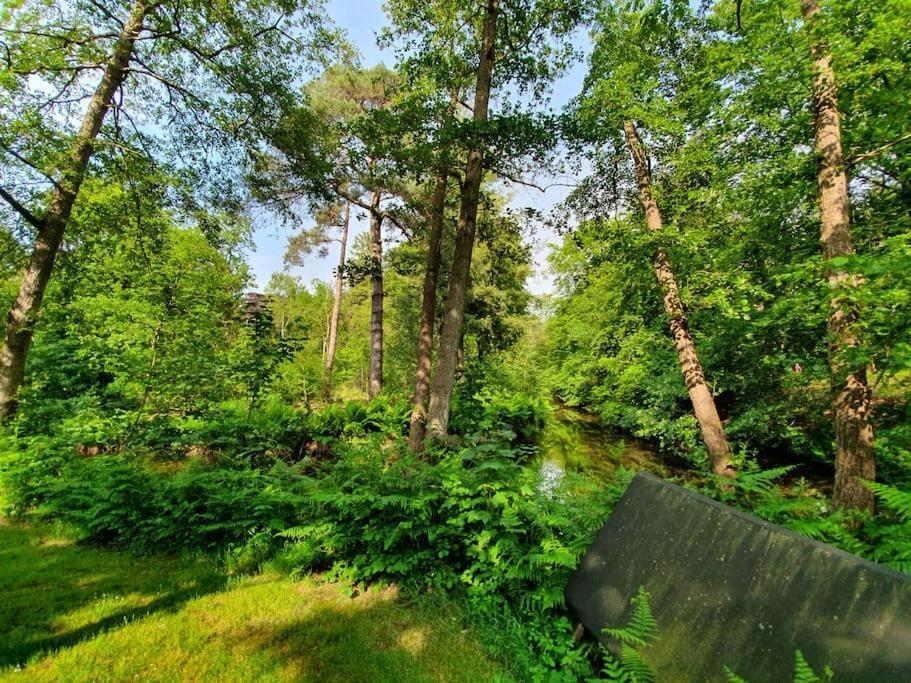 Midden In De Friese Bossen Op Landgoed Princenhof Oranjewoud Ngoại thất bức ảnh