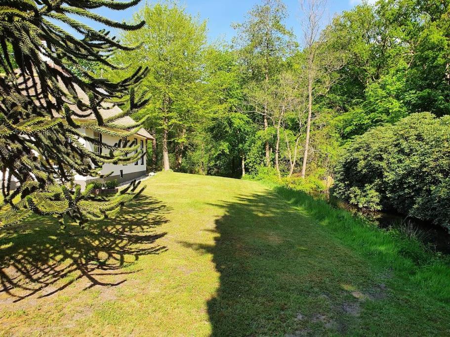 Midden In De Friese Bossen Op Landgoed Princenhof Oranjewoud Ngoại thất bức ảnh