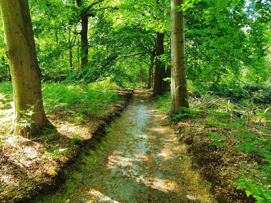 Midden In De Friese Bossen Op Landgoed Princenhof Oranjewoud Ngoại thất bức ảnh