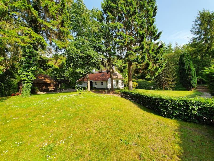 Midden In De Friese Bossen Op Landgoed Princenhof Oranjewoud Ngoại thất bức ảnh